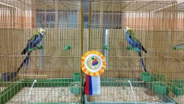 65_OŠS_Sombor_2024_16