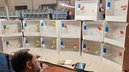 65_OŠS_Sombor_2024_9