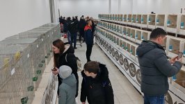 48_Sajam_Sombor_2025_25